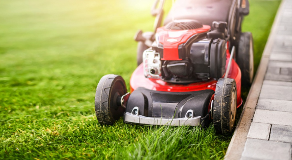 Kiwi house sitter and farm sitter. Available throughout New Zealand.