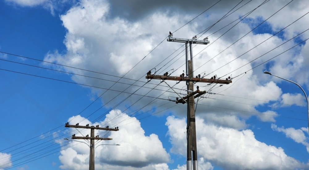 Kiwi house sitter and farm sitter. Available throughout New Zealand.