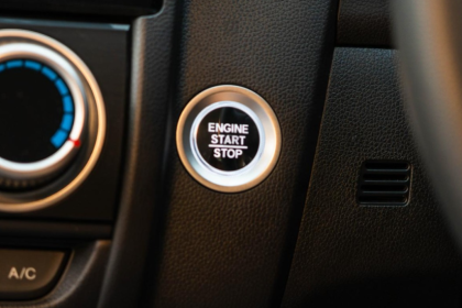 NZ house sitter and farm sitter. Available throughout New Zealand.