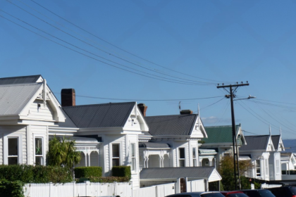 NZ house sitter and farm sitter. Available throughout New Zealand.