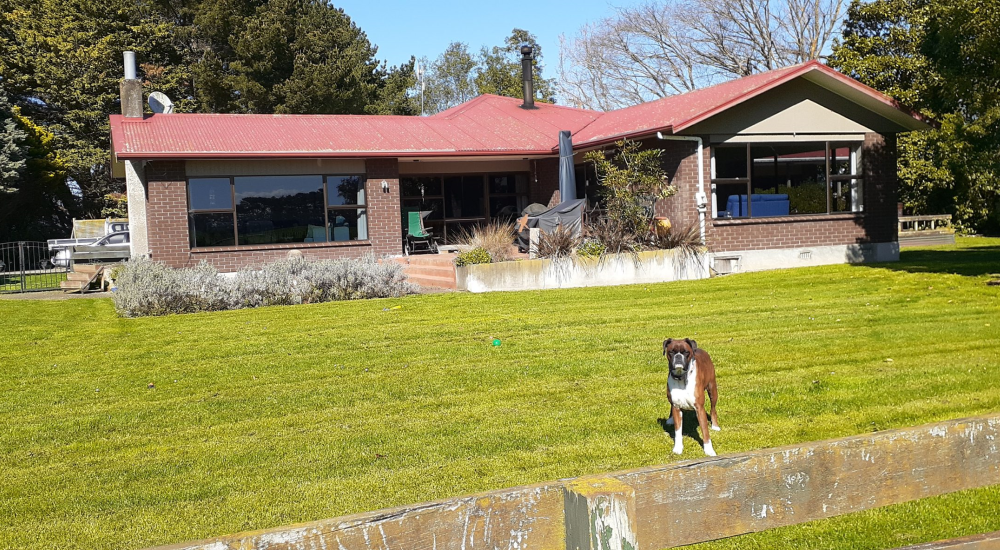 Kiwi house sitter and farm sitter. Available throughout New Zealand.