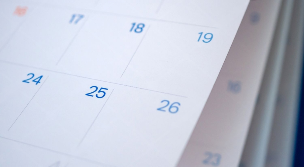 Kiwi house sitter and farm sitter. Available throughout New Zealand.