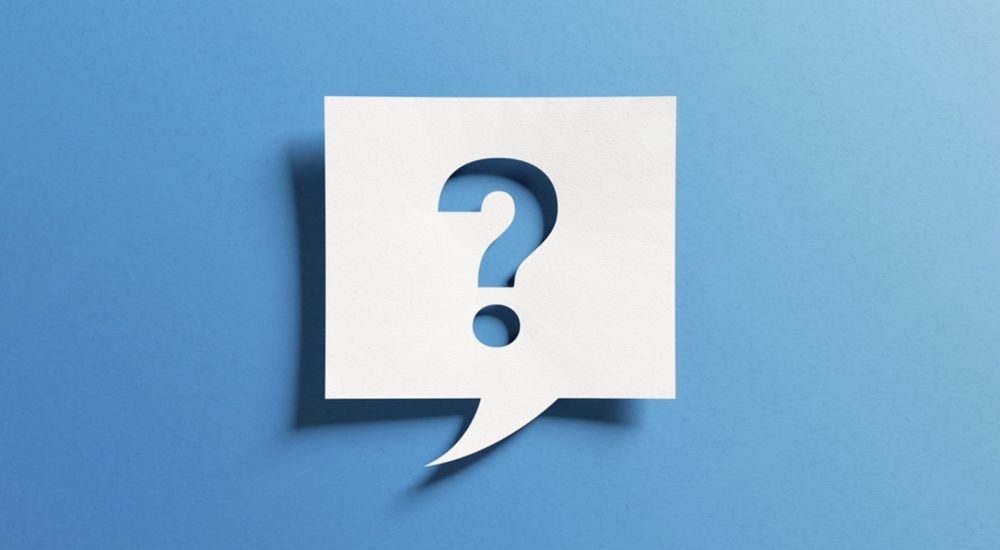 Kiwi house sitter and farm sitter. Available throughout New Zealand.