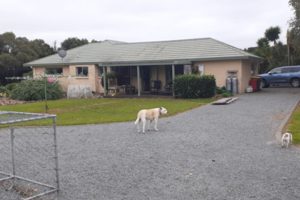 NZ house sitter and farm sitter. Available throughout New Zealand.