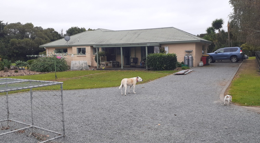 NZ house sitter and farm sitter. Available throughout New Zealand.
