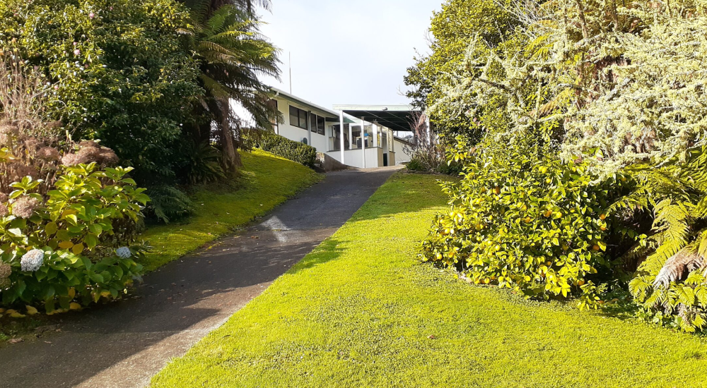 Kiwi house sitter and farm sitter. Available throughout New Zealand.
