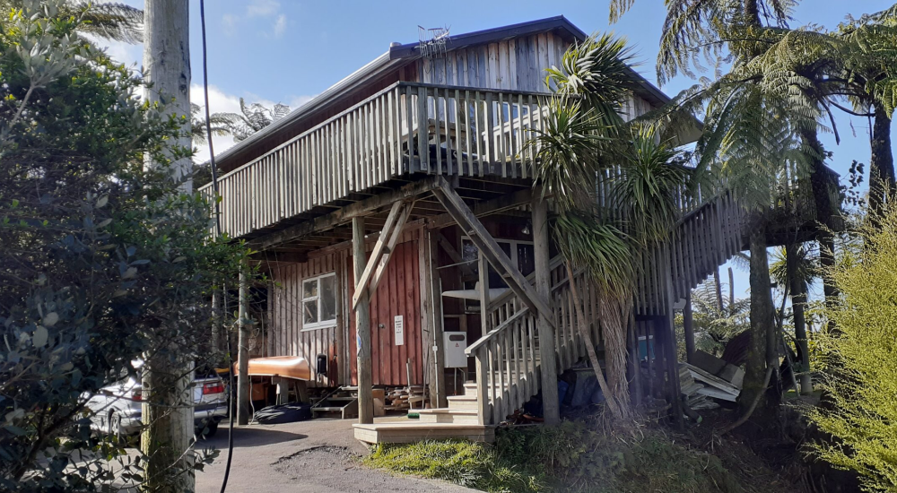 NZ house sitter and farm sitter. Available throughout New Zealand.